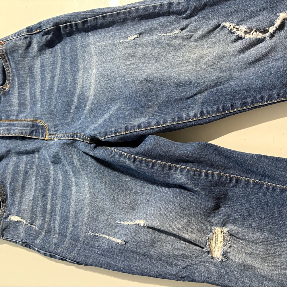 Arizona Jean Co. Blue Denim Jeans